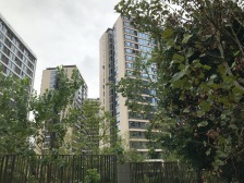 万达旁,正规四房,采光充足,户型方正,小区绿化好