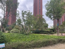 近地铁 中间楼层,现场实勘,电梯房,新上房源
