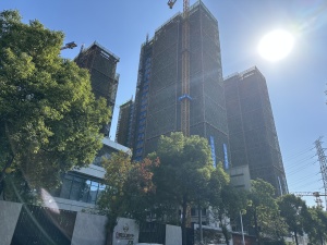 配套成熟,刚交房的新小区,第四代住宅,户户带花园