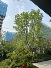 天穆镇·龙曜花园·2室·1厅