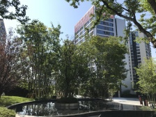 九宫庙 中国铁建西派宸樾四房