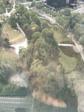 江北嘴公园里 4室2厅 南