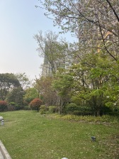 长滩一期 精装修 低楼层 适合各个年龄段人群 两房