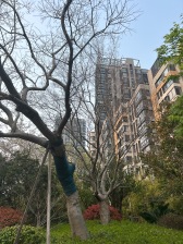 品质小区,繁华地段,刚需好房,装修齐全