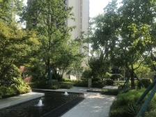 石桥铺 招商1872林麓四房293万