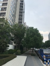 轻轨500米+业主诚心出售+随时可看