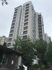 人车分流/低密居所/轻轨500米/组团纯粹小高+洋房