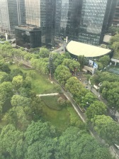 全新 无缝连接公园 玻璃加铝板外立面,现代建筑