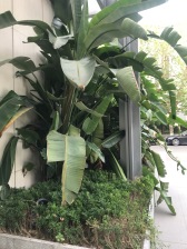 急售急售,朝中庭 4房叠拼品质高