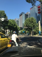 次新小区 全玻璃外面幕墙 四房四卫 正看一线公园