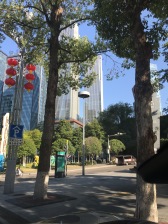 公园里少有顶越户型 看两江交汇 视野开阔 阳光充足