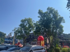 俊峰山万里 6室4厅 东南