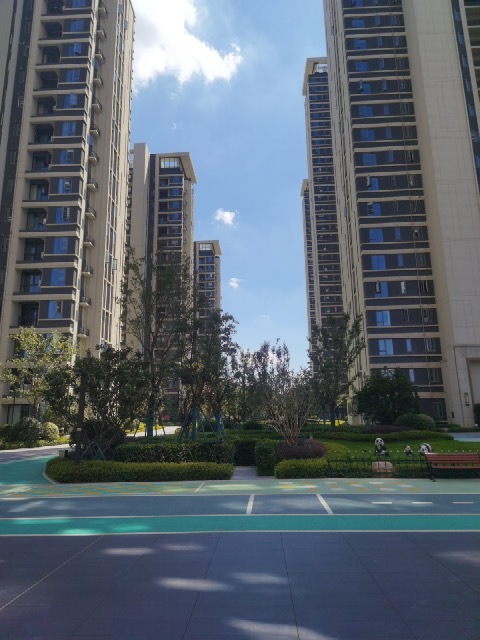 实景图:实景图竣工楼栋