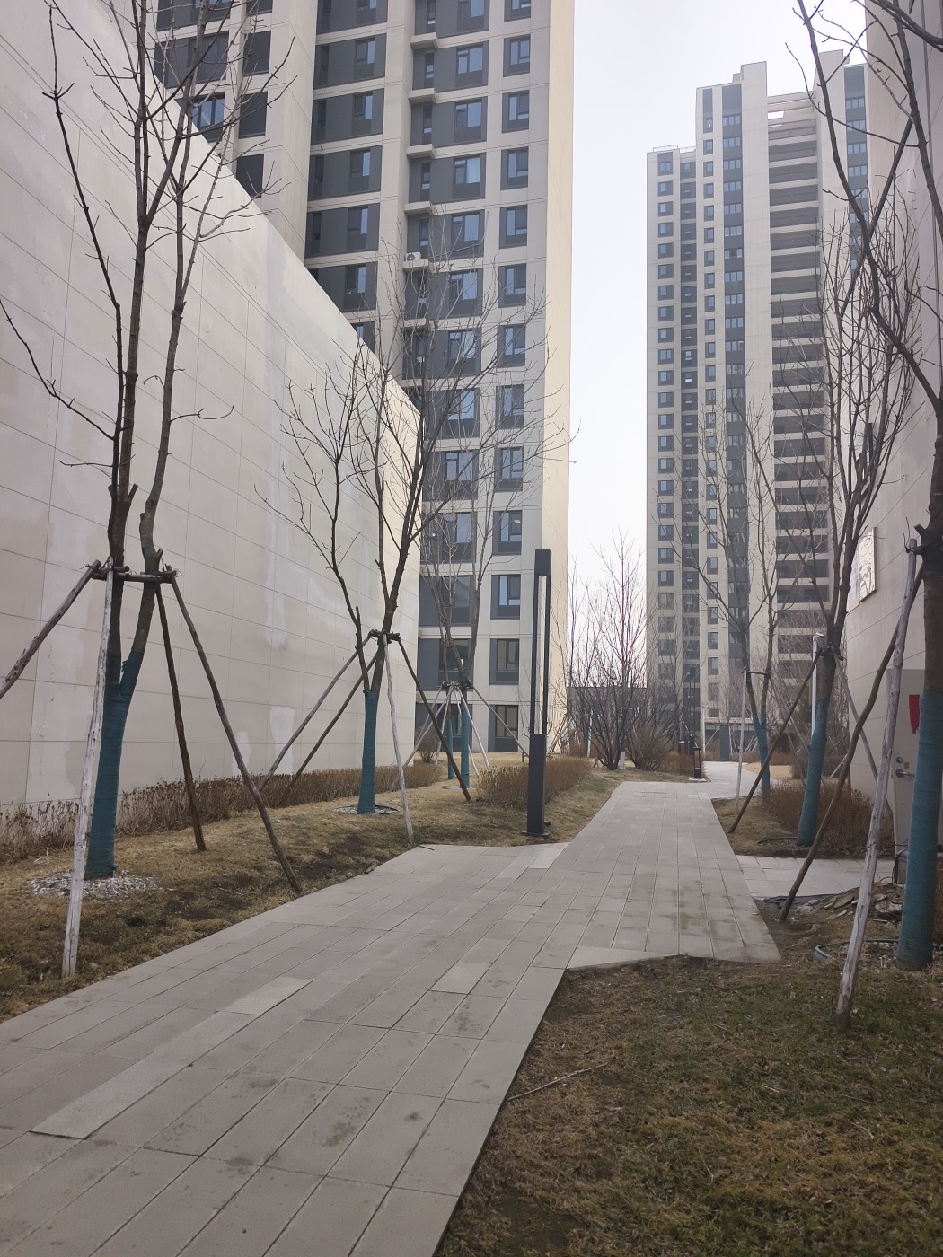 实景图:实景图其他