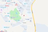 极美天山玫瑰园