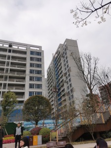 龙潭寺TOD龙潭九章3室2厅南