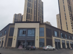 城发恒伟北城首府A区4室2厅南