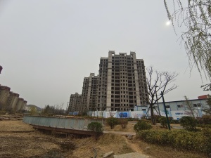 李沧区公园洋房高楼层间距宽采光好一梯两户安静