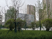 东投汉阳城实景图在建工地