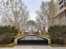 南北通透,采光无遮挡,业主诚信出售