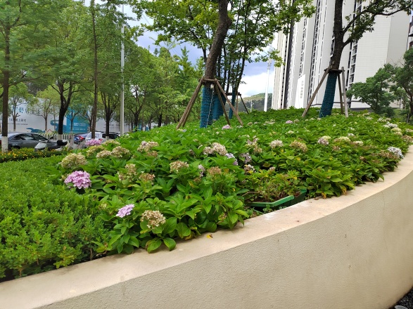 大华·锦绣麓城实景图