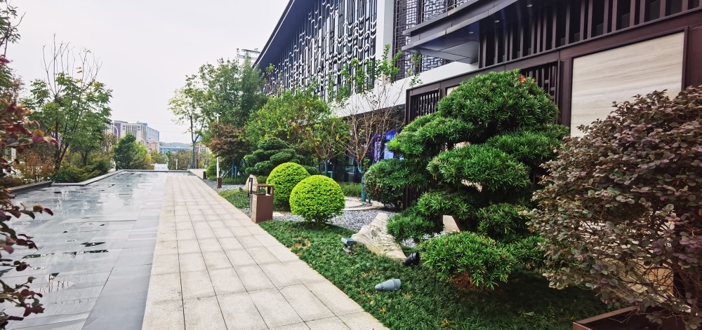小区相关图