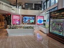 碧桂园凤凰湾 1房1厅1卫 全新发展商装修