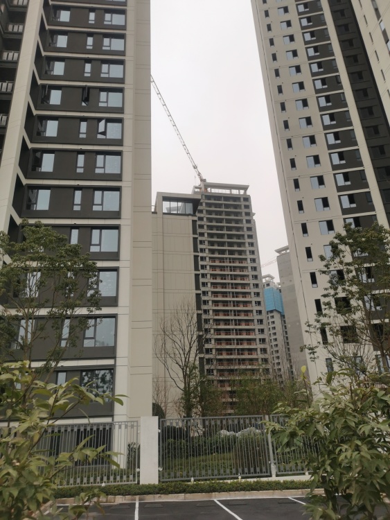 小区相关图
