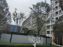 中交锦程实景图在建工地
