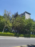 实景图在建工地