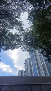 次新品质小区楼栋好,楼层好,装标高