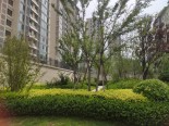 实景图小区环境