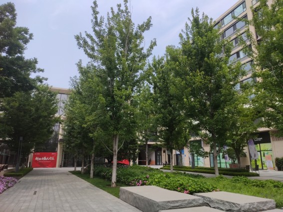 绿城·留香园怎么样:有128-180㎡的户型.-烟台房