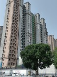 28#外立面施工