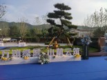 实景图其他