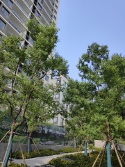 刚交房新小区,低密度,采光好。