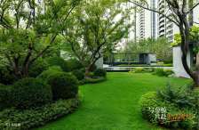 次新小区 双卫格局 商业配套齐全 楼层好 带电梯 出行方便