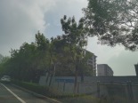 实景图在建工地