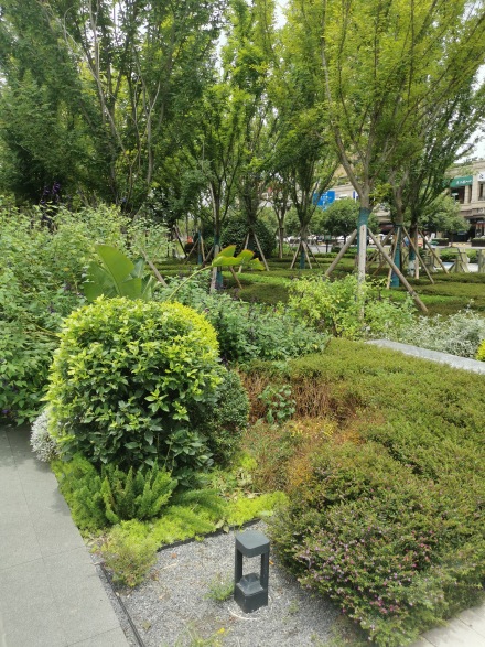首钢东境风华实景图