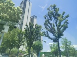 实景图在建工地