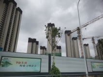 金地华章实景图在建工地
