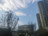 实景图小区环境