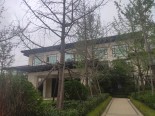 实景图售楼处