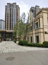 金隅金成府实景图在建工地