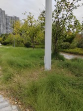 二七华侨城3号院 精装好房 满二 商品房 南北通透 电梯房