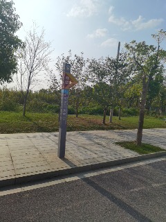 城发恒伟·雅郦映商住楼实景图