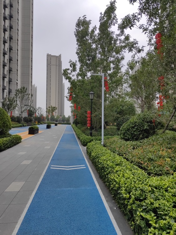 小区相关图