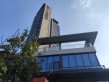 星河·江堤春晓实景图