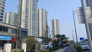 萃语华庭3室2厅南