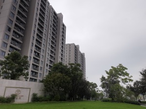 臻堇园 全新小区 刚交付 装修精美 房东诚心卖